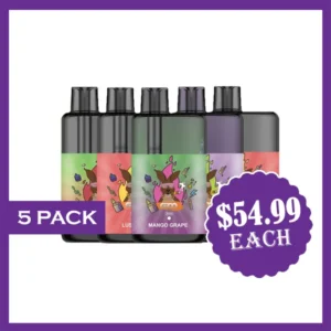 import placeholder for 865